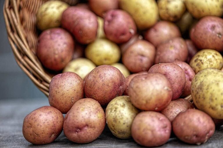 Kolorowe ziemniaki czyli „superfoods” po polsku