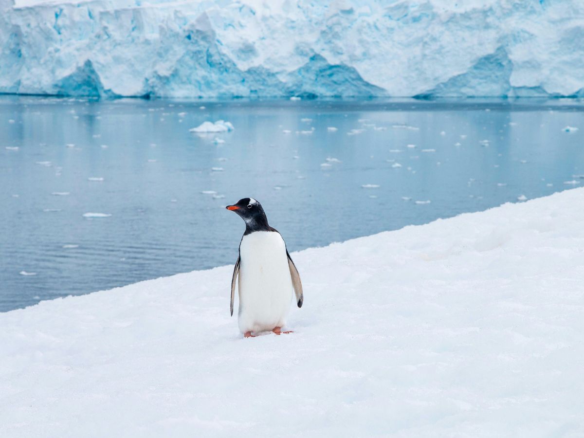 Dziura ozonowa - co się z nią stało?